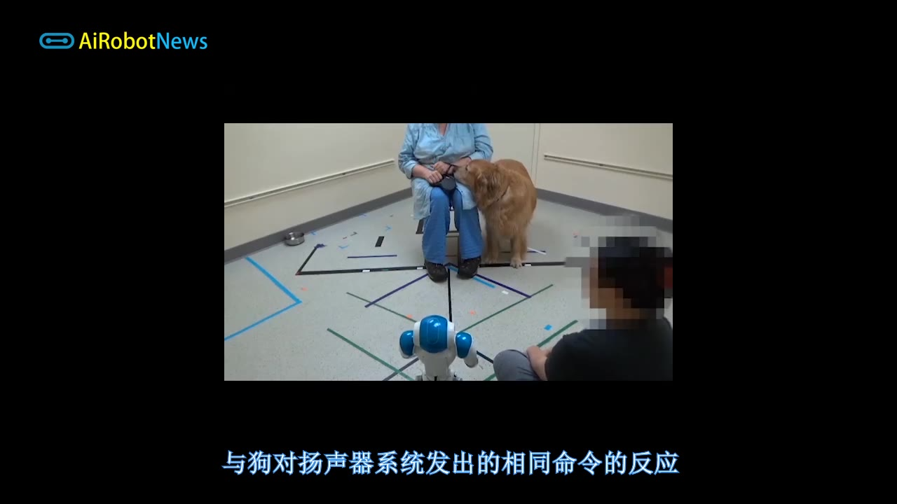 狗狗会服从社交机器人发出的命令吗?